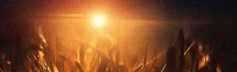 Oakridge Discord Server Banner