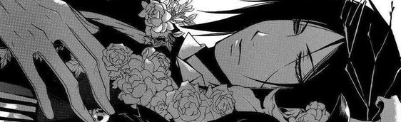 sencha, decor, social, giveaways Discord Server Banner