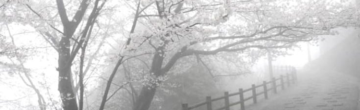 OLV SHOP Discord Server Banner