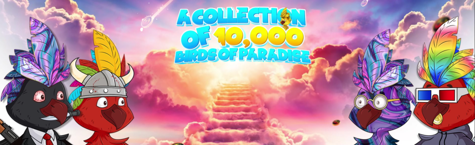 Birds Of Paradise Discord Server Banner