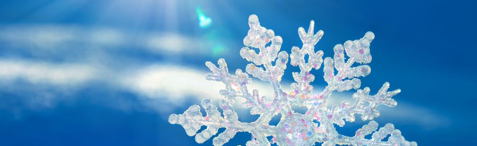 December's Winter Snow Globe Discord Server Banner