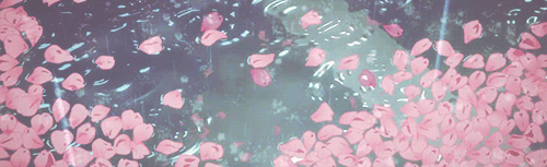 cherry blossom cove °❀⋆.ೃ࿔*:･ Discord Server Banner