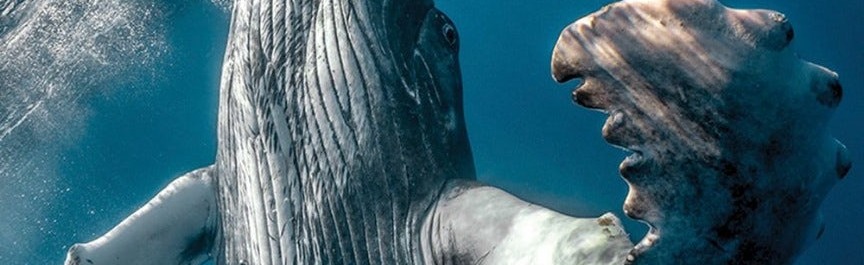 btcwoot Discord Server Banner