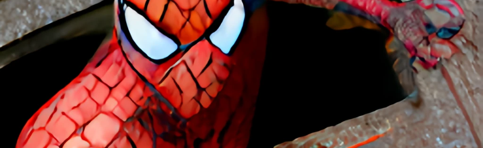 Friendly Neighborhood Dasher Discord Server Banner