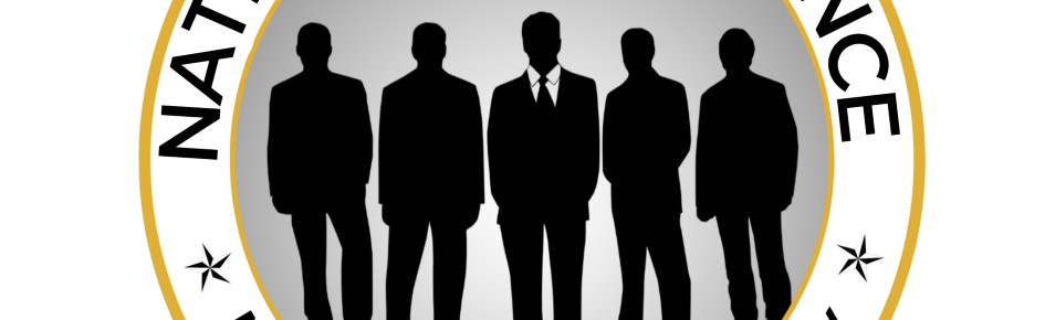 NATIONAL INTELIGENCE Discord Server Banner