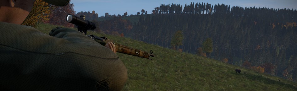 DayZ Finland Discord Server Banner