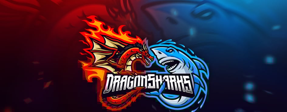 DragonLegacy Discord Server Banner