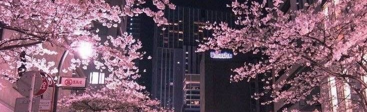 Valentine's Night Discord Server Banner