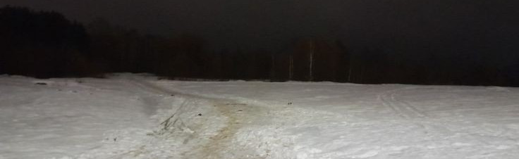 Multiversal Dragons Discord Server Banner