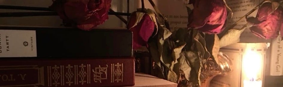 NOVACANE Discord Server Banner