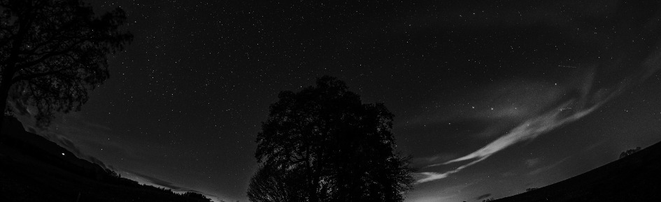 people Discord Server Banner