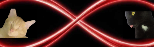 𝓒𝓪𝓽 𝓢𝓾𝓹𝓻𝓮𝓶𝓪𝓬𝔂 Discord Server Banner