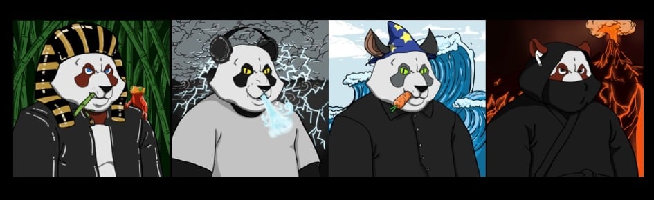 Awesome Panda Bamboo Club Discord Server Banner