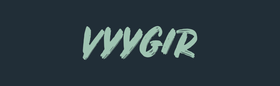vyygir.network Discord Server Banner