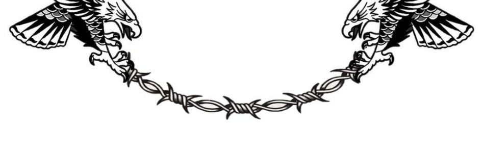 SERVERE DE METIN DIN ROMANIA Discord Server Banner