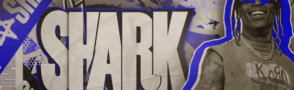 Shark System Discord Server Banner
