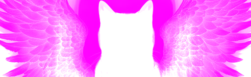 Loyal Braverian Empire Discord Server Banner