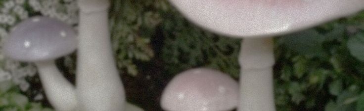 ･ﾟ*✧Mothy's Sanctuary 18+✧*･ﾟ Discord Server Banner