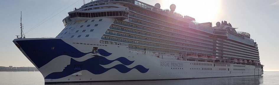 Cruise Ship Mates Discord Server Banner