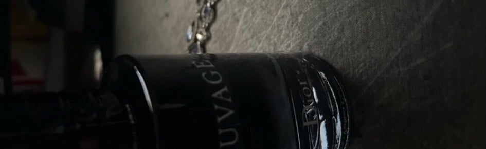 Exotic Discord Server Banner