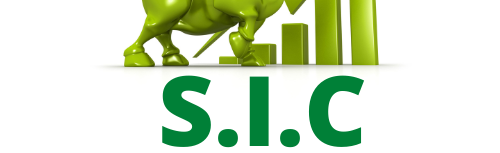 Stocks, Investing & Crypto Discord Server Banner