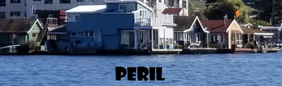 Peril Discord Server Banner