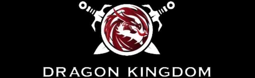 Dragon Kingdom Discord Server Banner
