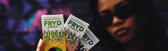 FRYD EXTRACTS Discord Server Banner