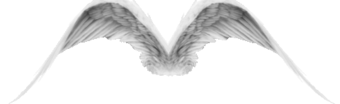 ᨦ wisp bump ഒ Discord Server Banner