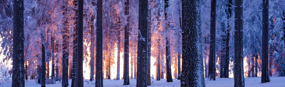 🩷 | Kraina Miłości • Polska Sp Discord Server Banner