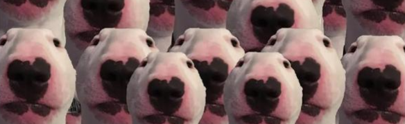 swaggysociety Discord Server Banner