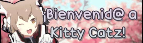 ✨ Kitty Catz 🐈 Discord Server Banner