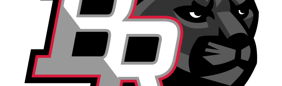 BRHS Sluts Discord Server Banner