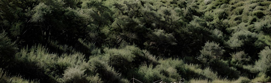 Antiminers Discord Server Banner