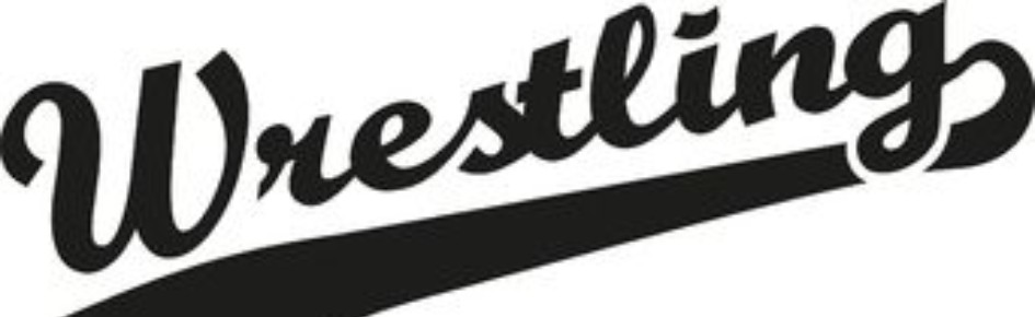 Wrestling Gals Discord Server Banner