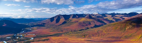 Sexual Assault Survivors Discord Server Banner