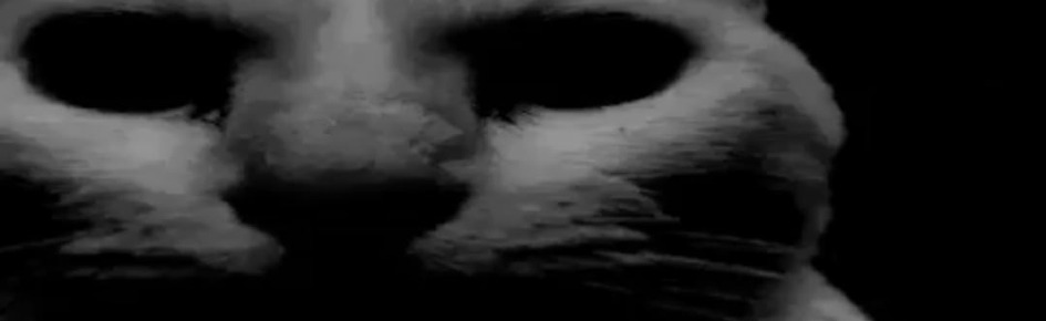 Gigachad Subordinates Discord Server Banner