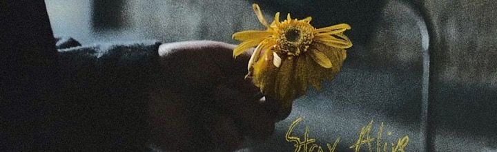 DEMA |-/ Discord Server Banner