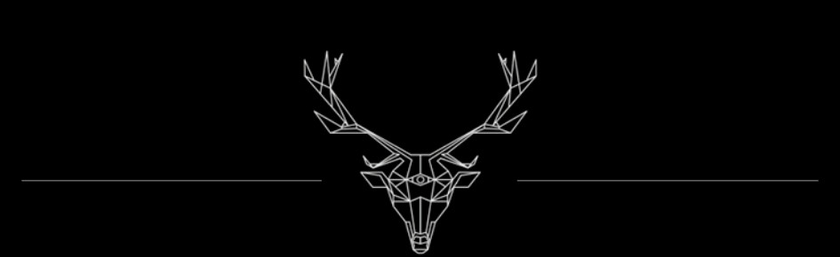 Elaticate Discord Server Banner