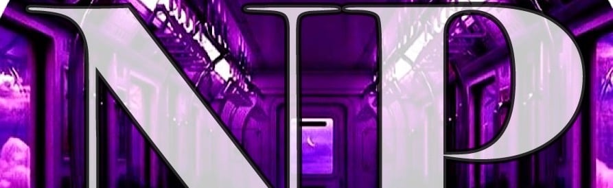 Nocturnal Paragon Discord Server Banner