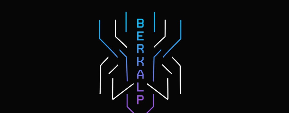 twitch.tv/berkalp Discord Server Banner