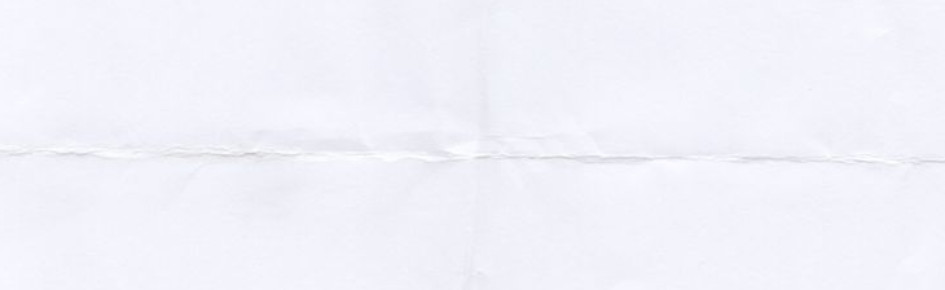 Kamelia Petit's Lively Library Discord Server Banner