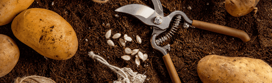 Potato valley Discord Server Banner