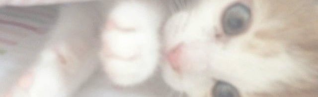 emmon Discord Server Banner