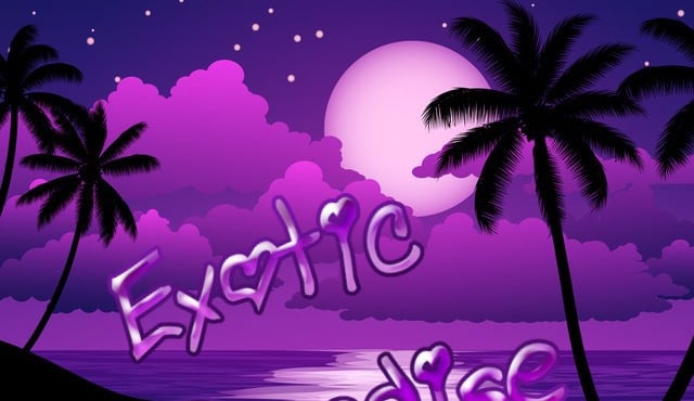 Exotic Paradise Discord Server Banner