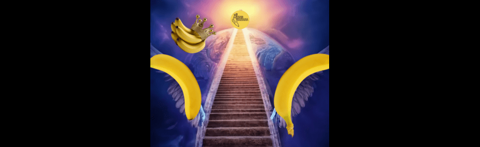 Bananas 🍌 Homeland Discord Server Banner