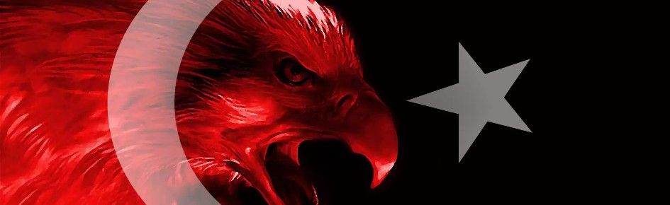 ☾★ Türk Oyuncu Topluluğu Discord Server Banner