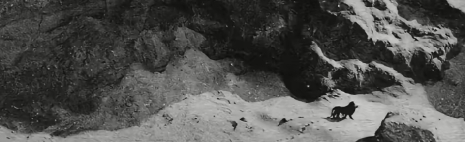 Haikyuu Rp: Crime Au Discord Server Banner