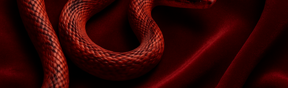 Sinister Syndicate Discord Server Banner