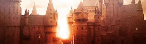 Cat, Rat & Dog [a PoA rp] 21YOA+ Discord Server Banner